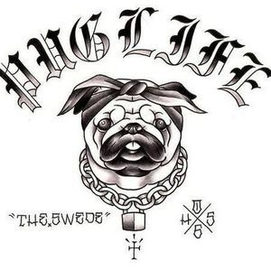 Meet your Posher, Sean